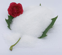 کدام نوع پلی اکریلامید برای تصفیه فاضلاب شستشوی ماشین موثرتر است؟